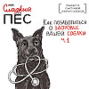 Как позаботиться о здоровье вашей собаки