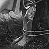 Опыт и неопытность в БДСМ. Хель и Инкогнито