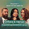 ПОДКАСТ ХВОСТАТАЯ ЗАБОТА: Собака в городе. Создание дружелюбной среды.