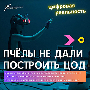 Пчёлы не дали построить ЦОД