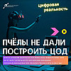 Пчёлы не дали построить ЦОД