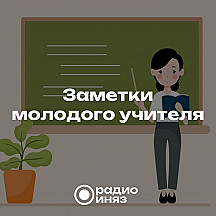 Заметки молодого учителя