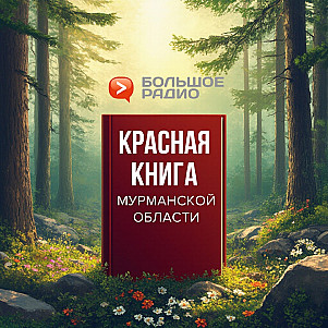 Луток