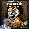 Новый фокус образования