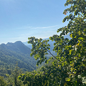 Снова тупые стишки