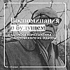 Как жил Константин Паустовский в Одессе в 1920 году?