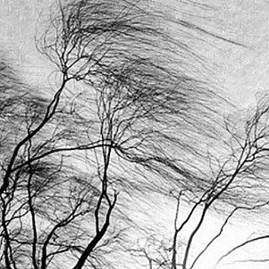 Ветер бушует нещадно