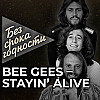Песня «Stayin' Alive» британско-австралийской музыкальной группы «Bee Gees»