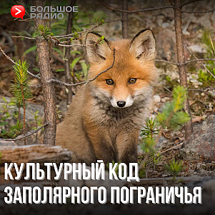 Культурный код заполярного пограничья