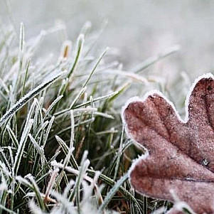 Осенний беспечный морозец