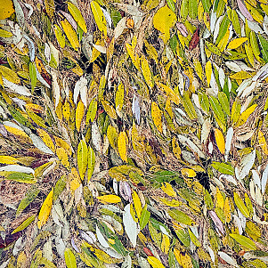 Листья почти облетели