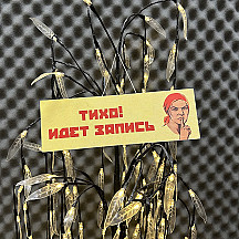 Подкаст-интервью