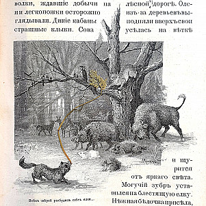 Рождественская сказка «Елка в лесу». М.Н. Кладо.