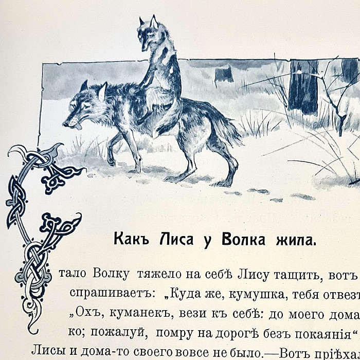 Волк и лиса: истории из жизни, советы, новости, юмор и картинки — Горячее, страница 62 | Пикабу