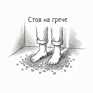 Мои рилсы не тупые, они про научпоп