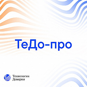 ТеДо-про