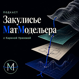 Закулисье МатМодельера