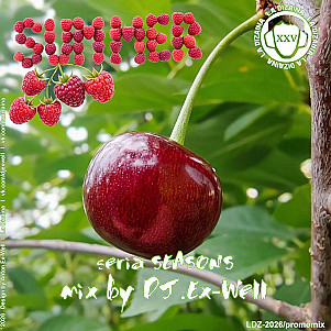 Dj.Ex-Well - Seasons - Summer 2026