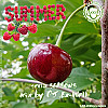 Dj.Ex-Well - Seasons - Summer 2026