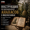 Выпуск 4: Инструкция по выращиванию ананасов в Подмосковье.