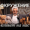 Как окружение меняет нас и наших близких