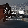 №232. Лупоглазая камбала.
