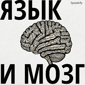 Язык и мозг