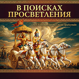 В поисках просветления