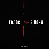 Голос в ночи
