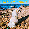 Порядок чувств