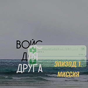 Войс для друга. О миссии
