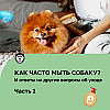 Подкаст выпуск 8 часть 1 Как часто мыть собаку? И другие вопросы об уходе. Отвечает специалист!